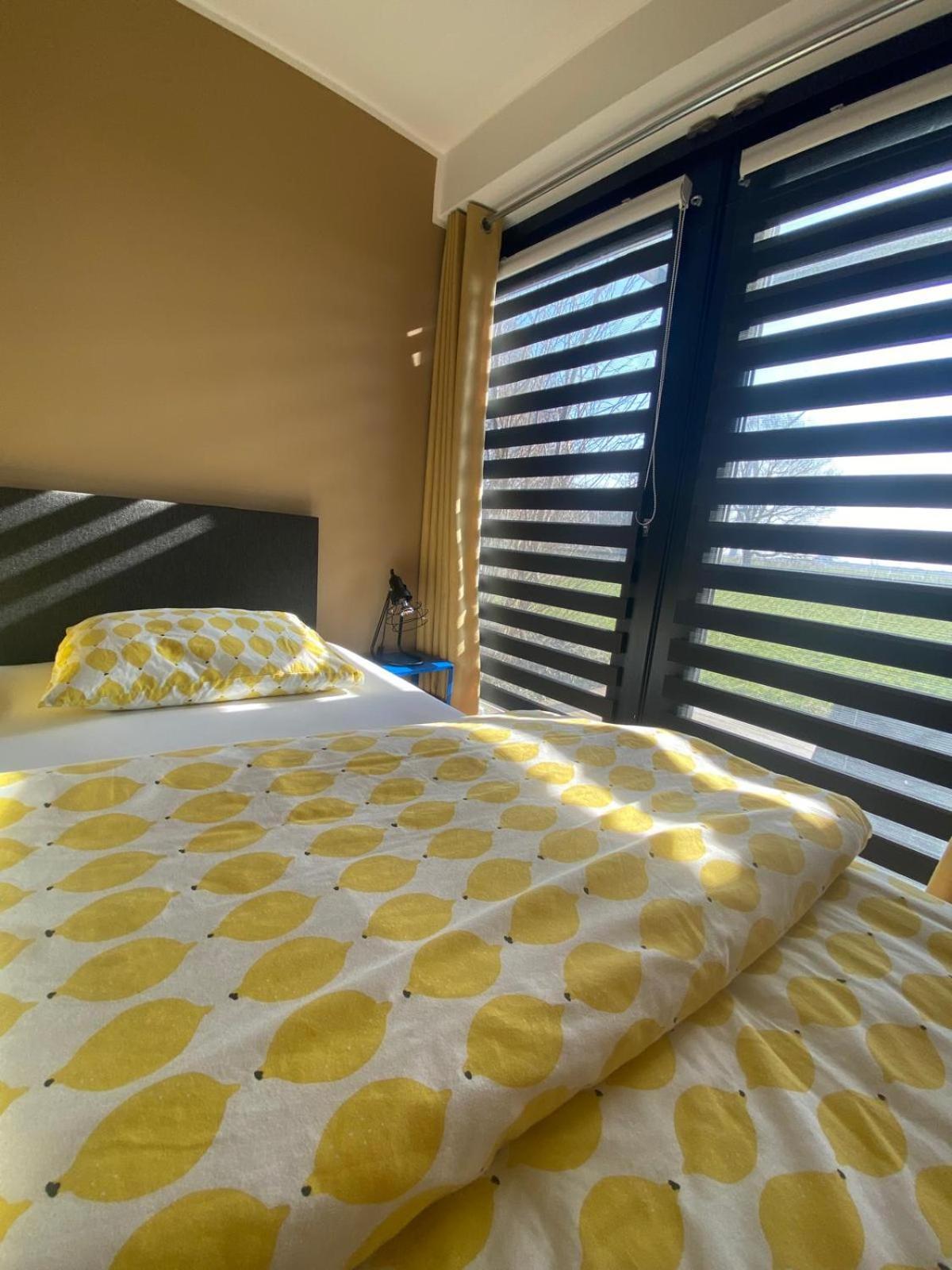 Nr6 * Herbaijum