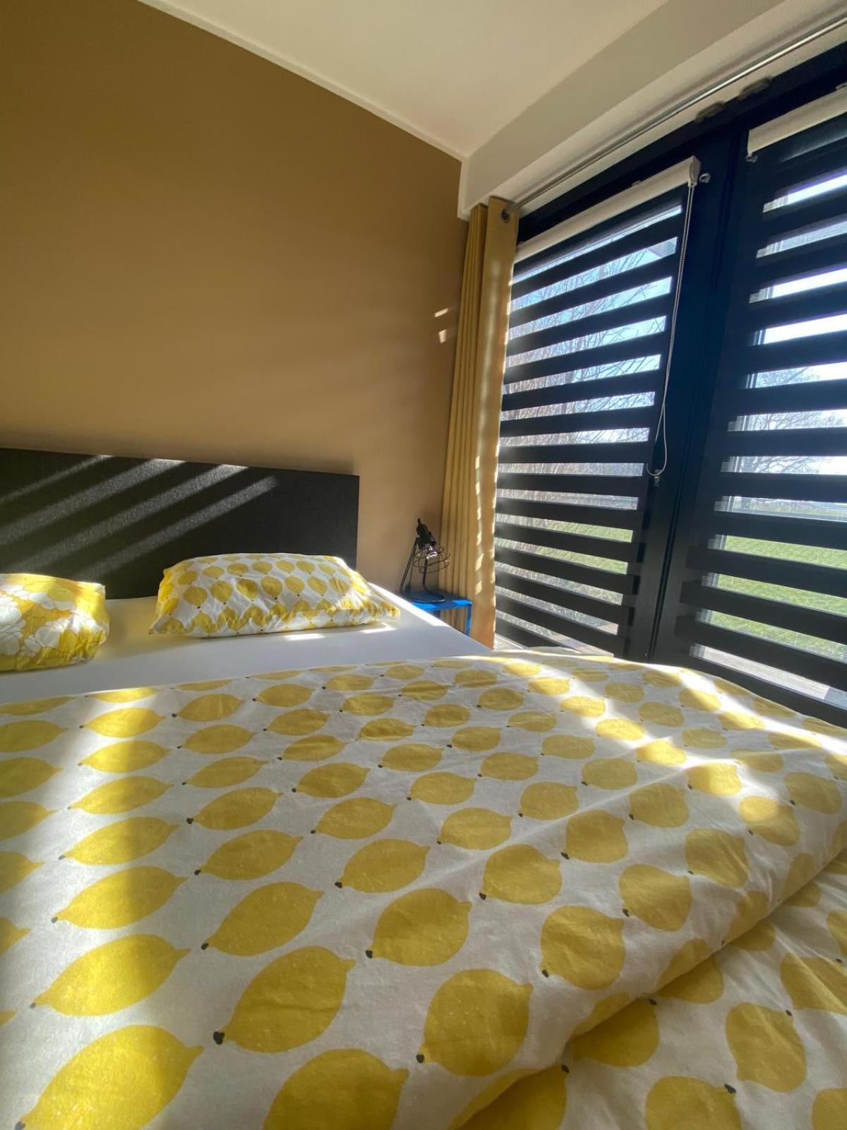Nr6 * Herbaijum